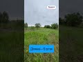 Видео превью