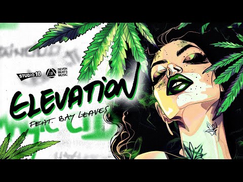 Mountaindub feat. Bay Leaves- Elevation [Official Audio]
