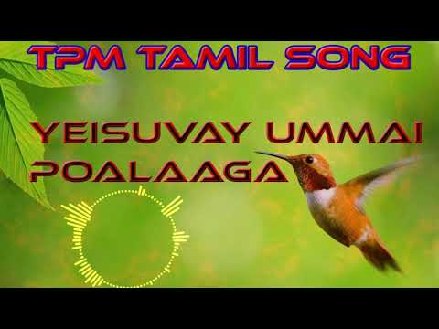 TPM Songs | Song No. 490| Yeisuvay Ummai Poalaaga | TPM Tamil Songs | The Pentecostal Mission