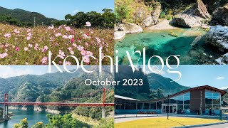Kochi Vlog | 高知Vlog | 中津渓谷で仁淀ブルーを楽しむ | 佐川町最新スポット「まきのさんの道の駅 佐川」| 越知町 宮の前公園のコスモス