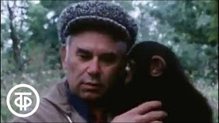 Что написал в м песков отметьте ответ. Смотреть фото Что написал в м песков отметьте ответ. Смотреть картинку Что написал в м песков отметьте ответ. Картинка про Что написал в м песков отметьте ответ. Фото Что написал в м песков отметьте ответ