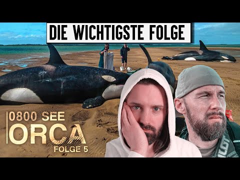 Desaster! Robert Marc Lehmanns 0800 Sea Orca Folge 5 | Filmemacher reagiert