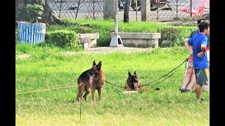Quick tour of two parks in Dumaguete Philippines