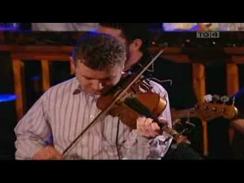 Sharon Shannon Band - Neckbelly