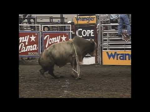 Zandy bucks Nate Thorson - 00 PBR Nashville