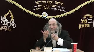 הרב אלימלך בידרמן | חודש אייר והקיץ, הילולת רבי ר' ישעי'לה מקערעסטירער - פרשת תזריע מצורע תשפ"ה