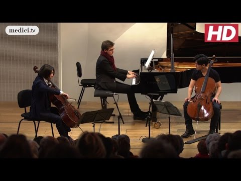 Master class: Gautier Capuçon - Brahms Cello Sonata No. 2 - Fondation Louis Vuitton