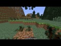 Server Info 1