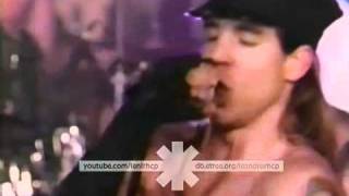 Red Hot Chili Peppers - Show Me Your Soul (playback @ Hard Rock Cafè, Orlando 20-04-1990)