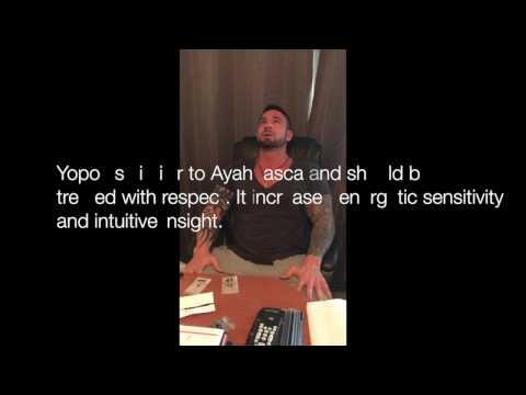 download lagu mp3 mp4 Yopo, download lagu Yopo gratis, unduh video klip Yopo