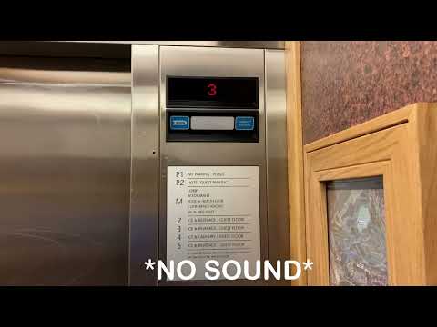 New elevator video intro!