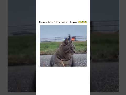 Bro has reversed sound system😭...