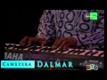 Yassin Axmed Digfeer Saxiib
