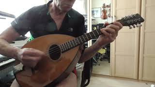 Video thumbnail for Tenpenny Bit played on Fylde Mandola by PeakStrum (PeakStrum)