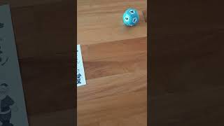 Irritable Vowels Game anglická tvoření anglických slov spelling