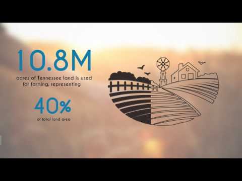 Pixel Film Studios - ProGraph: Essentials - Professional Infographics - Final Cut Pro X FCPX