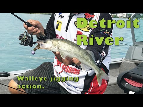 Csf 33 09 Detroit River Walleye Action & Tips.