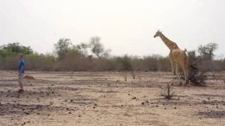 preview picture of video 'Eric with the Giraffes, Niger'