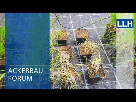 Ackerbauforum - Ungrasresistenzen auf der Spur