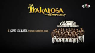 Como los Gatos (feat. Xitlali Sarmiento) - La Trakalosa de Monterrey (Audio Oficial)
