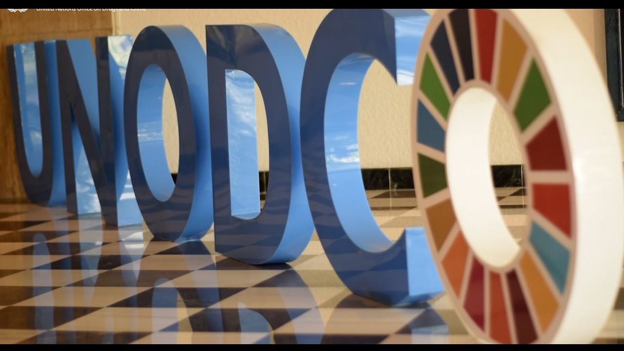 UNODC México: Hacemos del mundo un lugar seguro