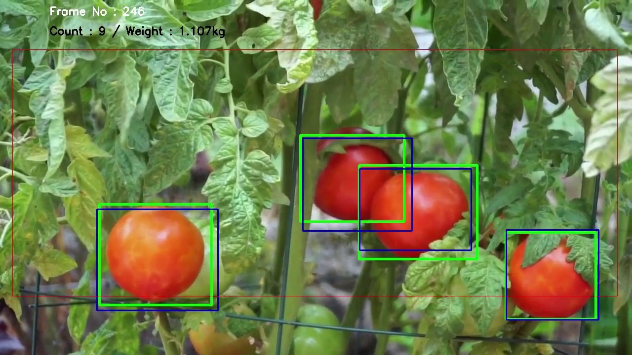 Multi object tracking with darkflow(CNN) and OpenCV