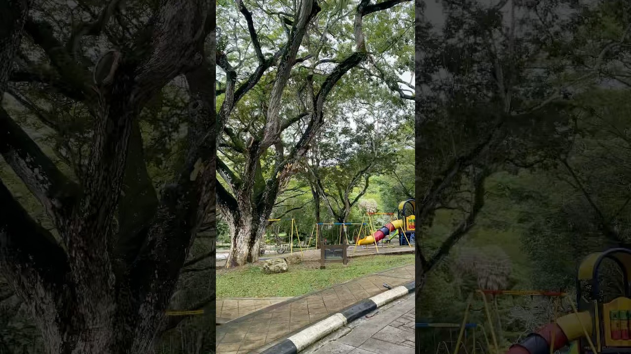 YouTube Short thumbnail