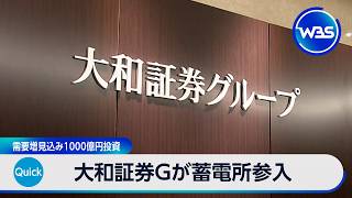 大和証券Gが蓄電所参入 需要増見込み1000億円投資【WBS】
