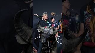 Download lagu kalap mendelik melet #bantengan #satriyoglagahsuro #limousine #kalapan #keseniantradisional #shorts mp3