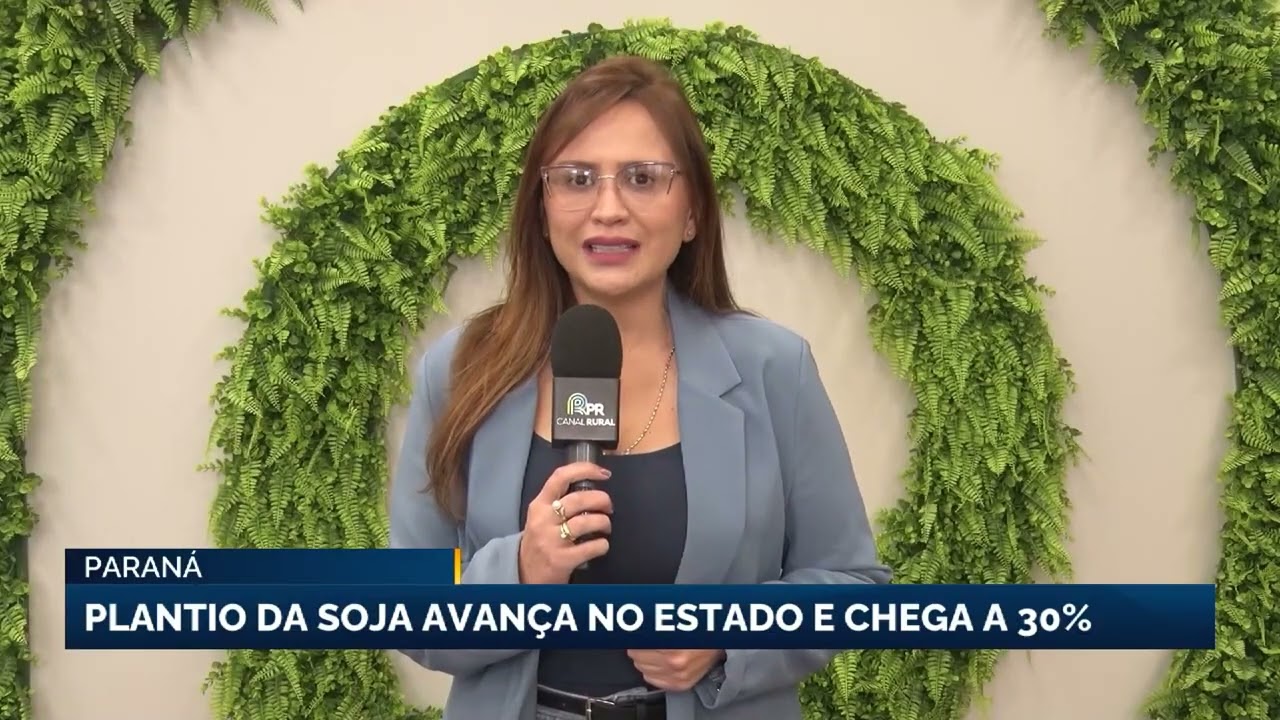 Plantio da soja avança no Paraná e chega a 30% da área prevista