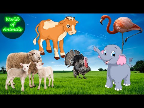 Oh, these strange cute animals - elephant, beaver, cow, bull, birds - their sounds