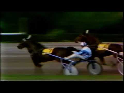 Dansk Trav Derby 1977 - Vixi Bird