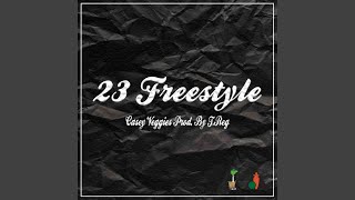 23 Freestyle