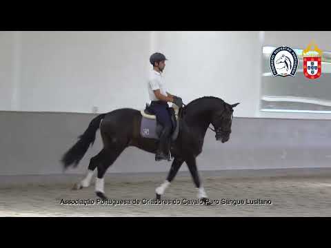 220902 10 Proj Ensino APSL&FEP - Luis Fernandes com Nescafé