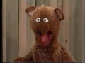 Sesame Street Rosita Is A Fairy Godmother