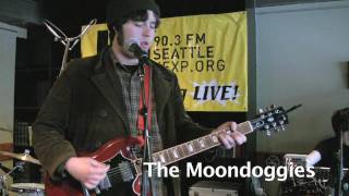 The Moondoggies - What Took So Long (Live on KEXP)