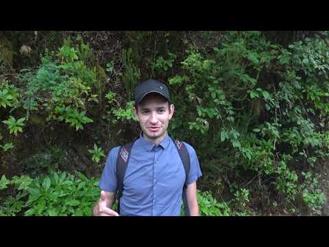 Отзыв об экскурсии с Константином Гавришенко от 31.08.2019