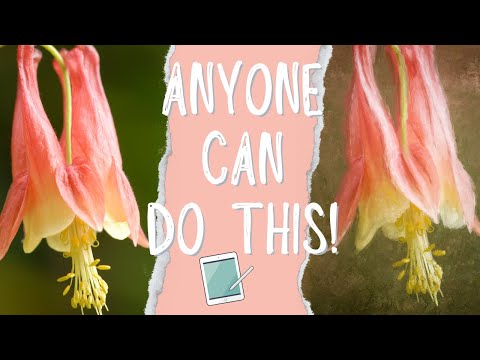 Turn Your Photo into a Painting with a Texture Background on the iPad in Procreate