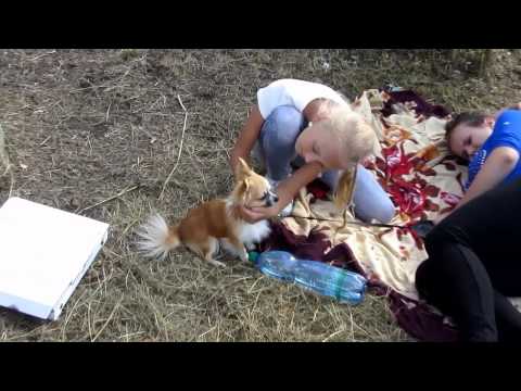 Stropkovské účko 2015