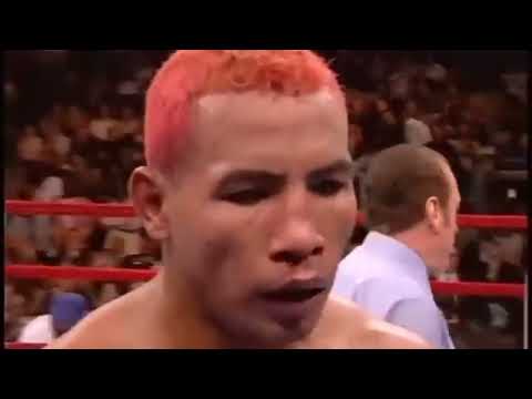 Felix Trinidad vs Ricardo Mayorga Full Fight - Boxing