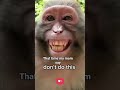 That Time My Mom Say Don T Do This And I Think I Well Do It Comedy Funny