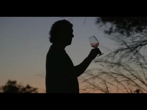 Bibi Graetz - 2019 Harvest on Isola del Giglio