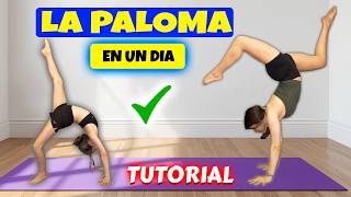 ¿CÓMO HACER LA PALOMA? 🌟 Tutorial Fácil y Rápido  🌟 | Daniela Golubeva