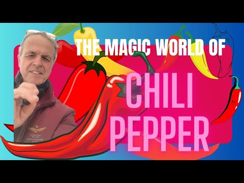 REALLY HOT! Largest variety of Spiciest and strongest CHILI in ABRUZZO Italy