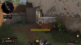 BO4まったりやるよ！
