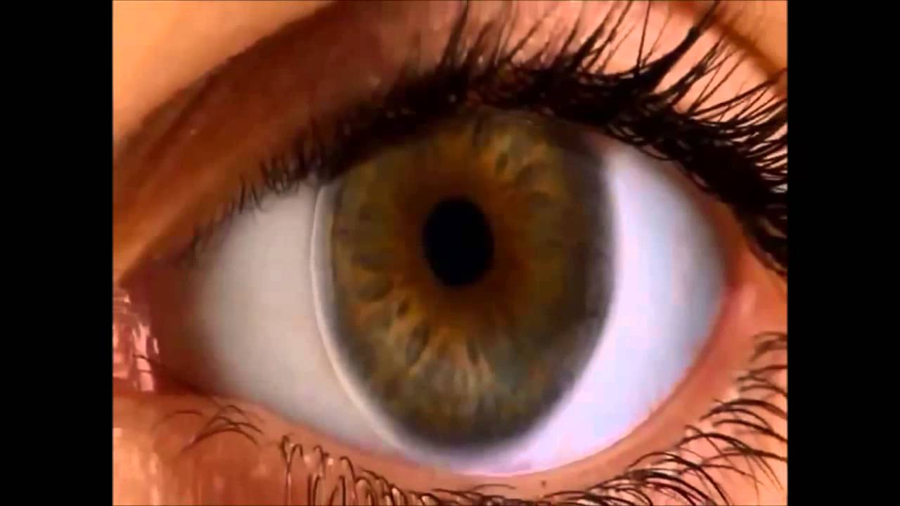 Air Optix for Astigmatism Contact Lenses