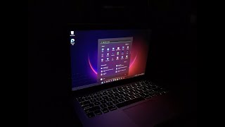 Installing Windows 11 on 11/11 (on unsupported hardware)