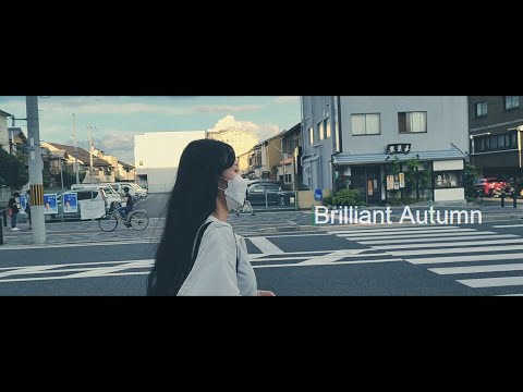 BRILLIANT AUTUMN - Cinematic Footage Video