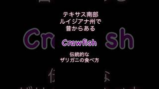 ザリガニ🦞の正しい食べ方知ってる？