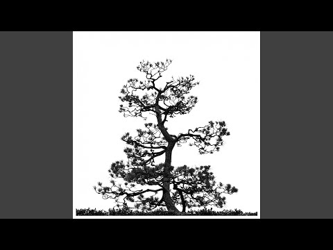 The Infinite Present